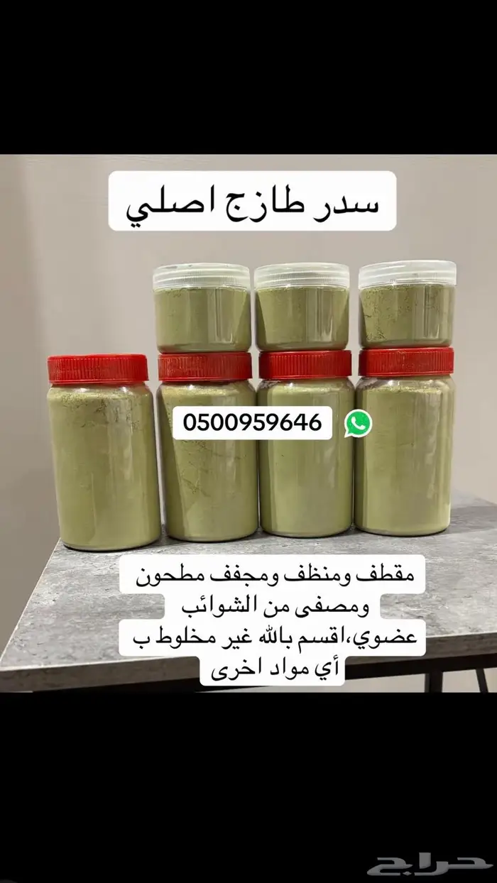 سدر المدينة الأصلي 0