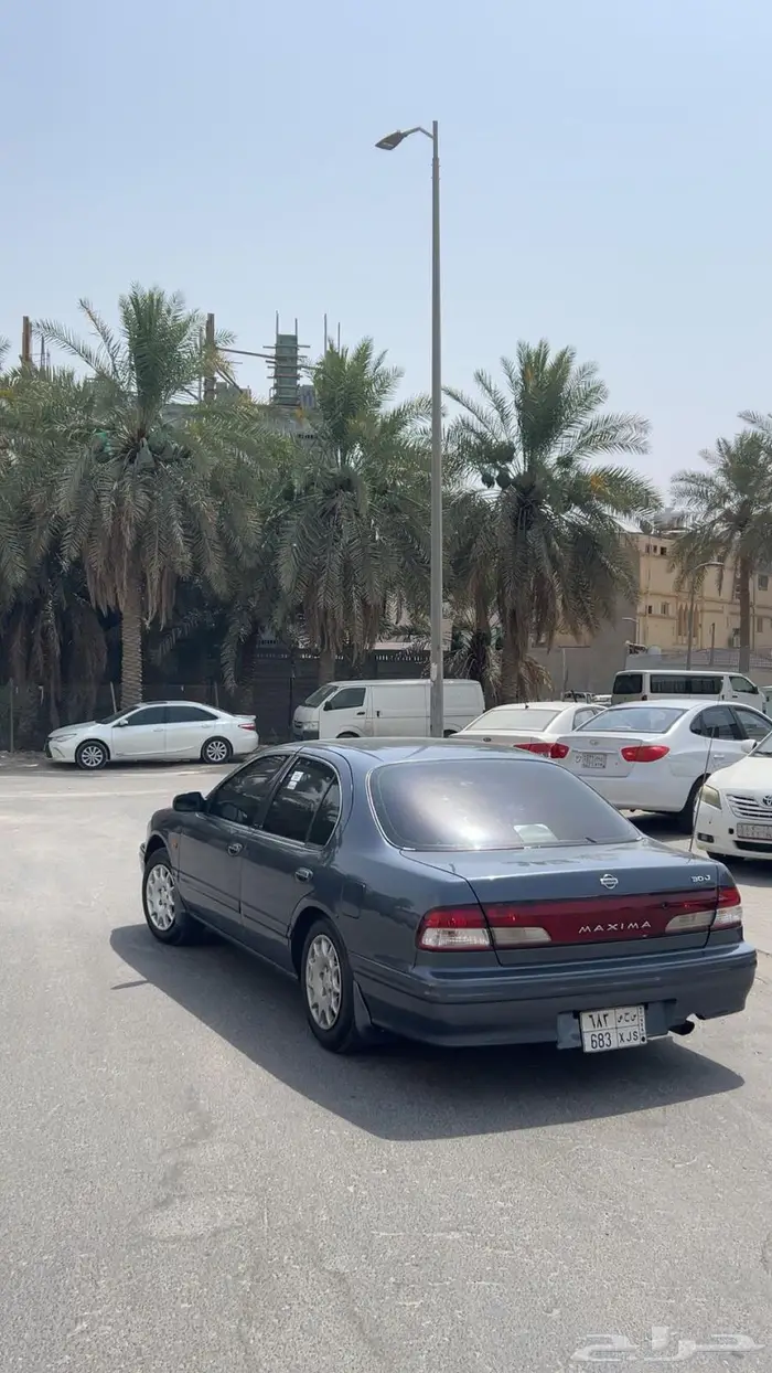 مكسيما 99للبيع 4