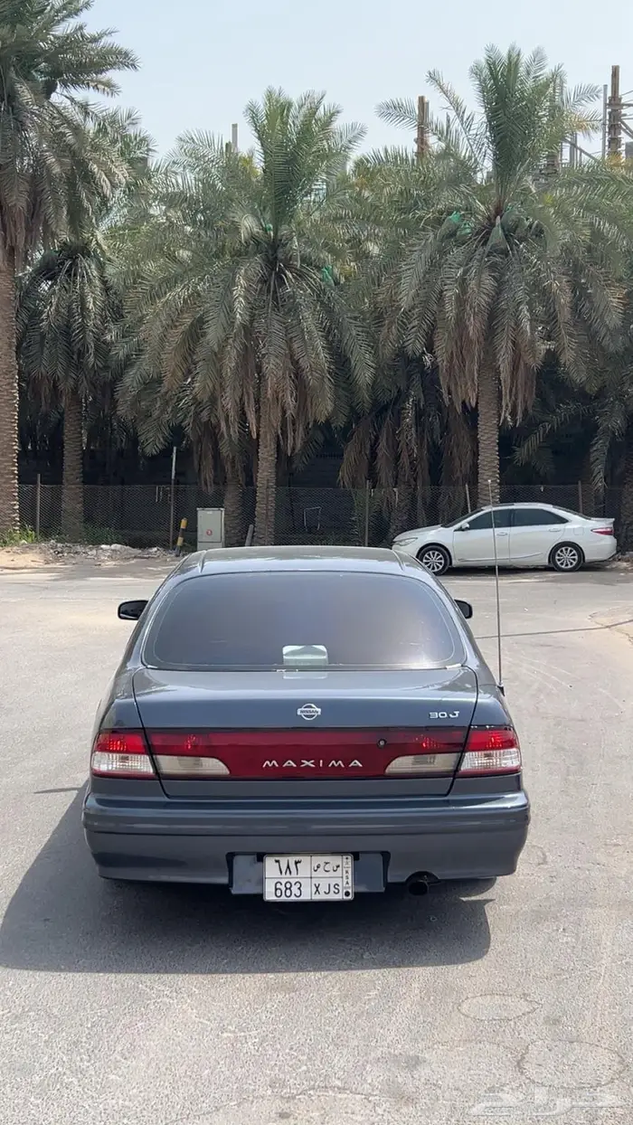 مكسيما 99للبيع 3