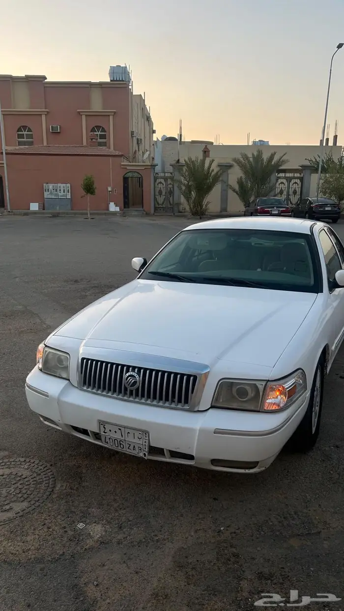 فورد 19