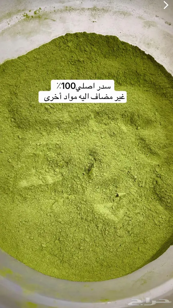سدر المدينة الأصلي 1