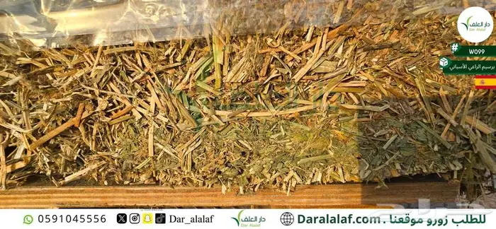 اسباني مستورد بروتين 19.92 1