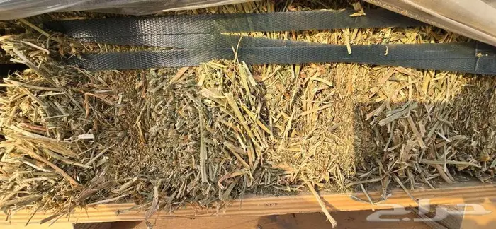 اسباني مستورد بروتين 19.92 3