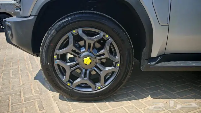 جيتور T2 لاكجري 2025 22