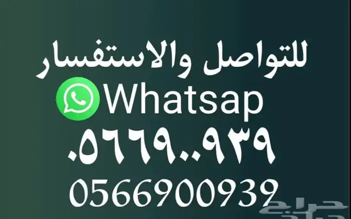 النترا دباب للايجار الشهري 2