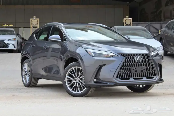 لكزس - NX 350 - CC - فل كامل - خليجي - 2025 2