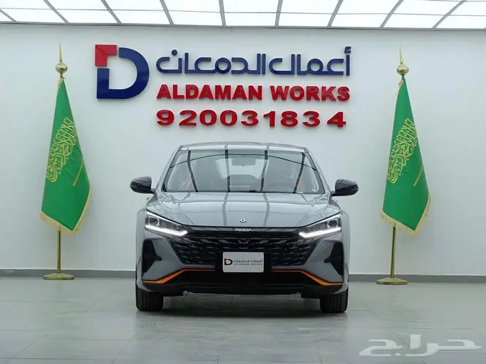 دونج فينج شاين E1 2025 جديد وحصري 0