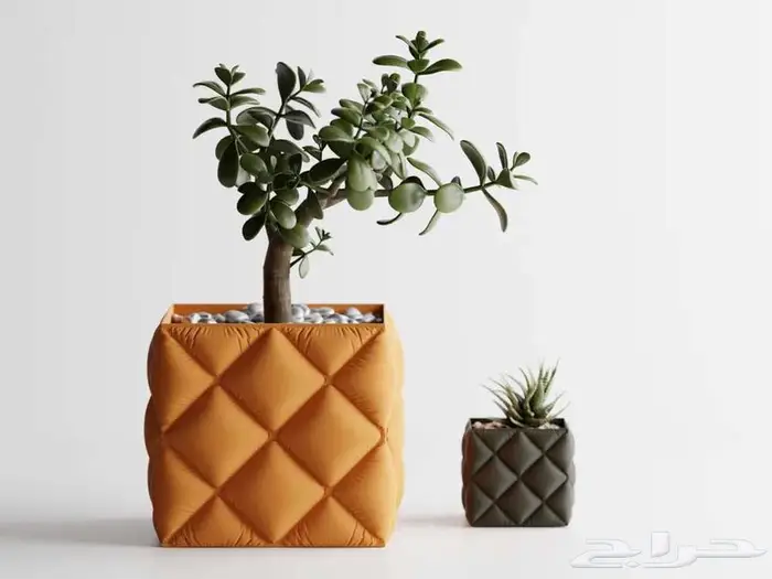 فازات ديكور مطبوعة 3D بأشكال مميزة 3