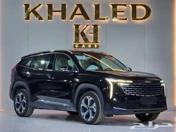 جيلي استار راي 2024 0