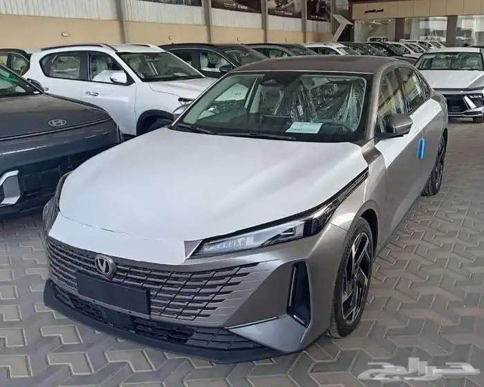 شانجان ايدو بلس ليمتد 2026 0