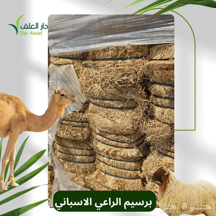 اسباني مستورد بروتين 19.92 2