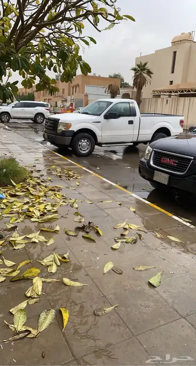 F150 index