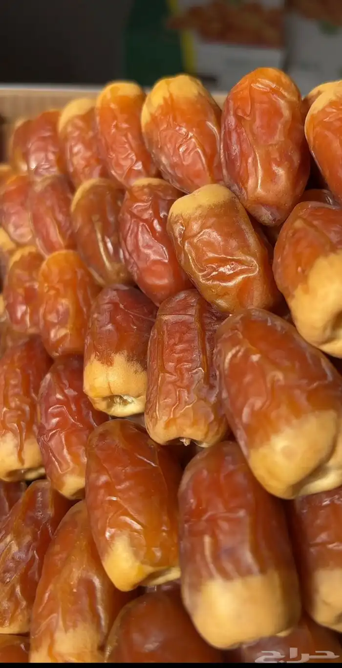 صقعي ملكي 0