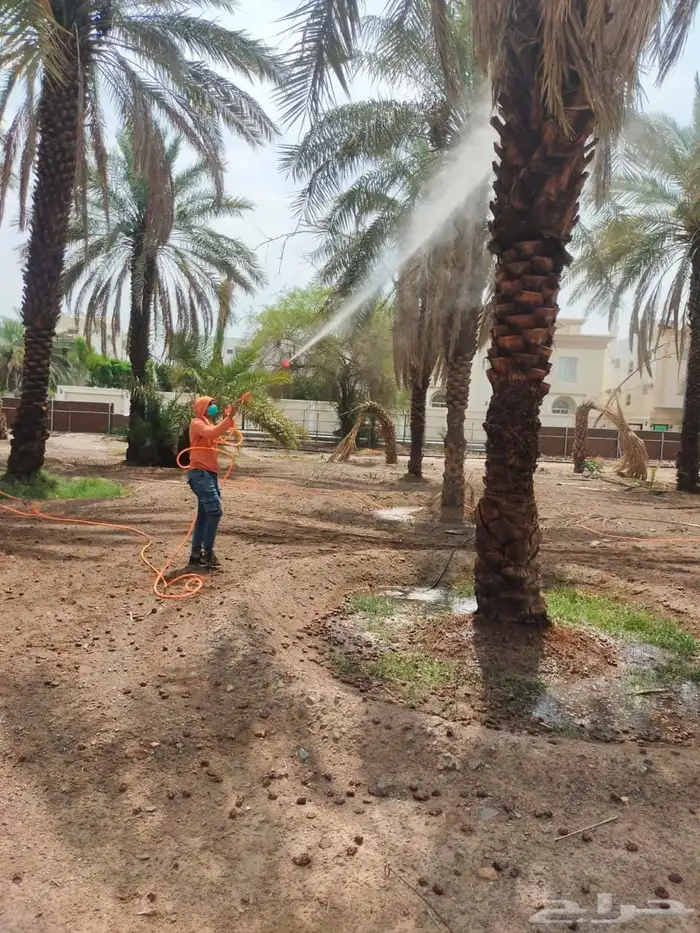 صيانة وتنظيف المزارع 22