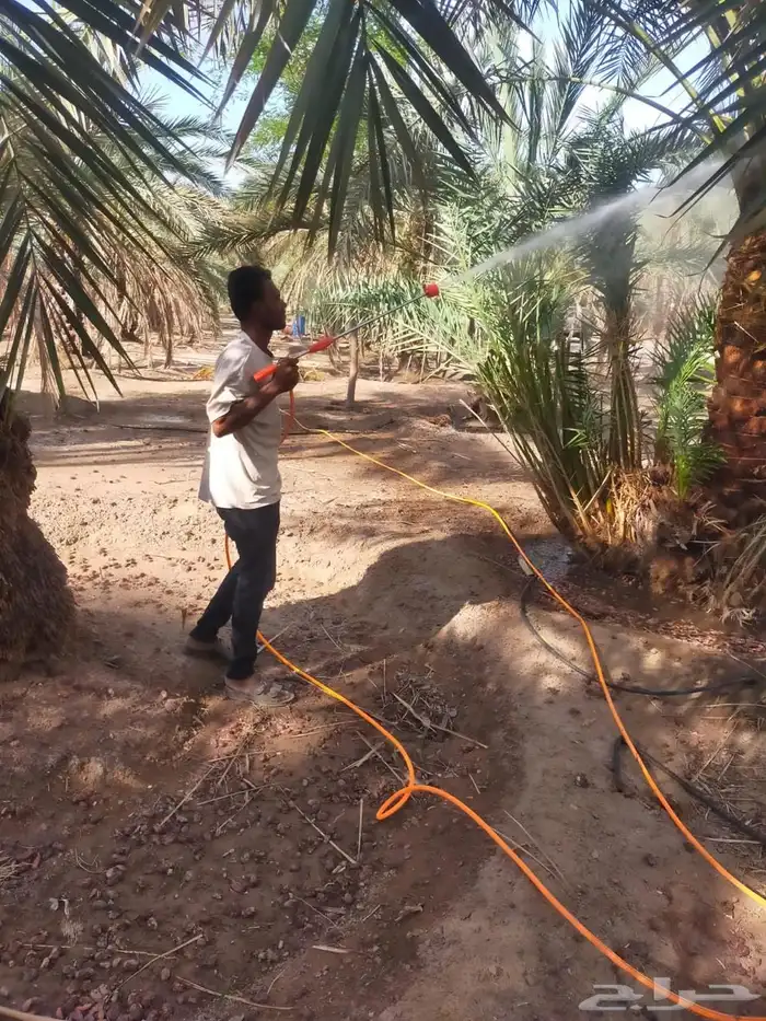صيانة وتنظيف المزارع 23