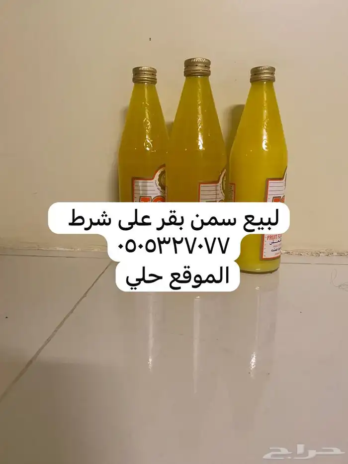 لبيع سمن بقر على شرط 0