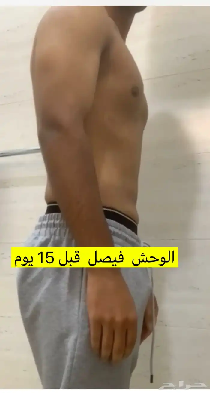 تدريب شخصي وتخسيس وبناء عضلات 7
