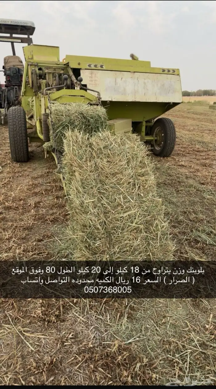 المنطقه الشرقيه الصرار 0