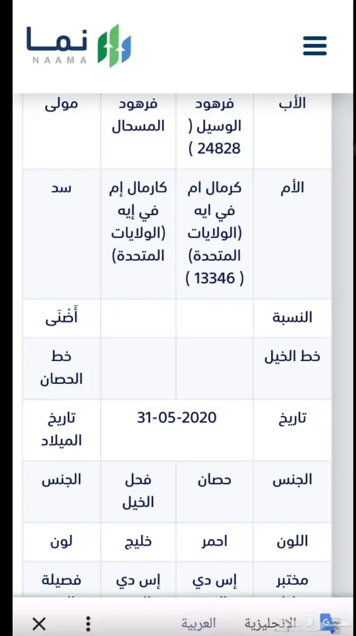 خيل واهو 1