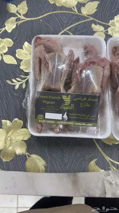 حمام فرنسي جاهز index