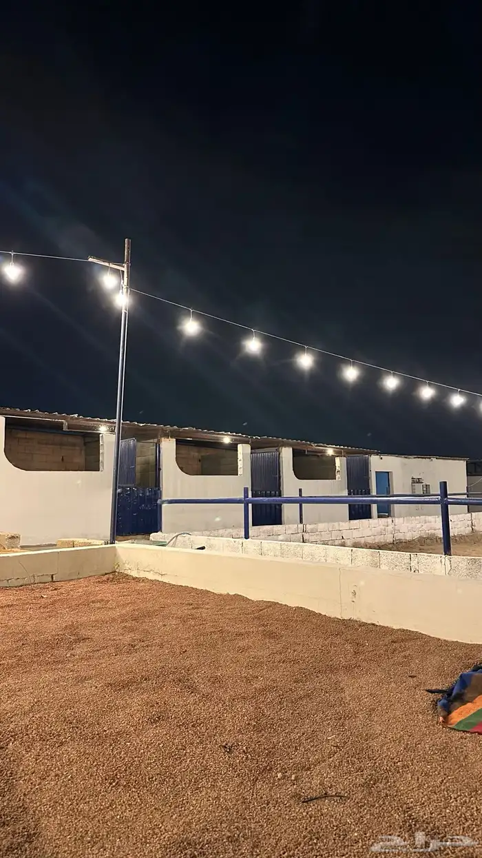ايواء خيل بقرب ميدان الفروسيه 1