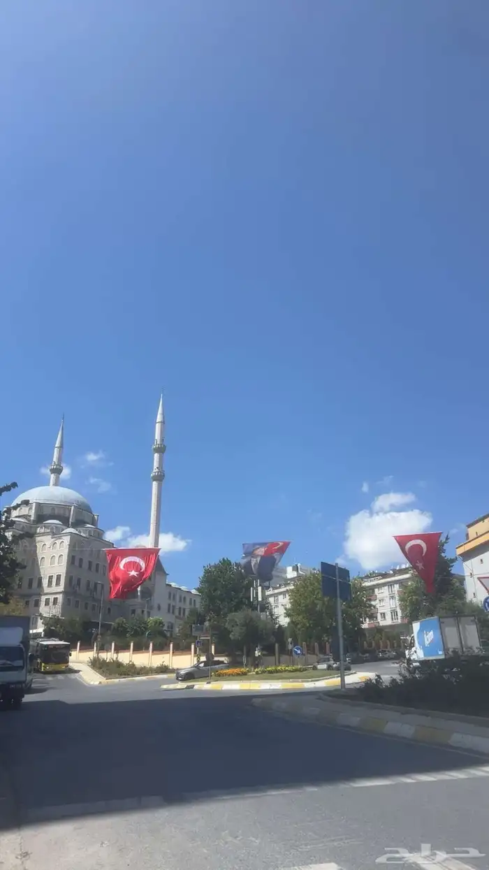 مرشدة سياحية 0