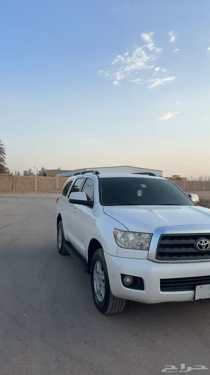 السكويا شرط من كل عذريب الممشى308  لايجي الاصامل 2