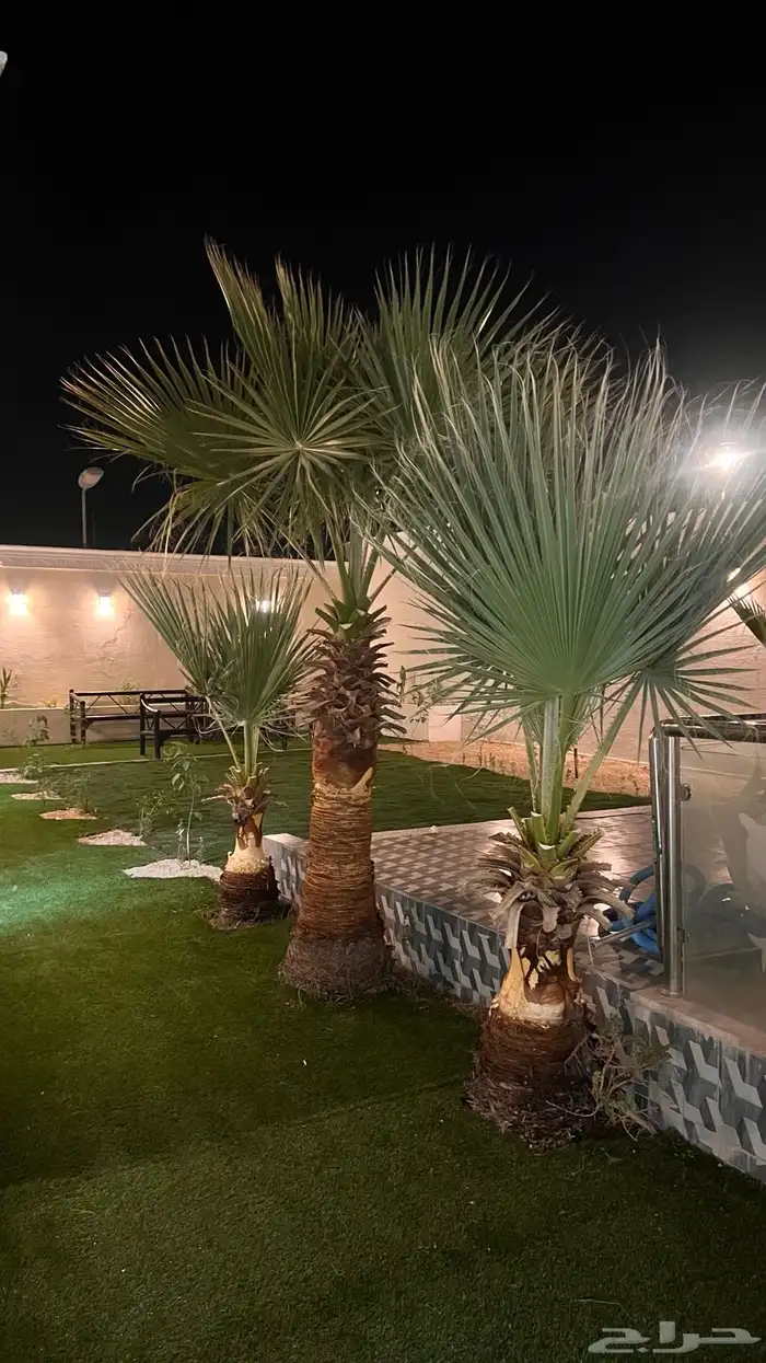 شاليه بمسبح للإيجار بالعارض   اسبوعي   شهري   سنوي 2