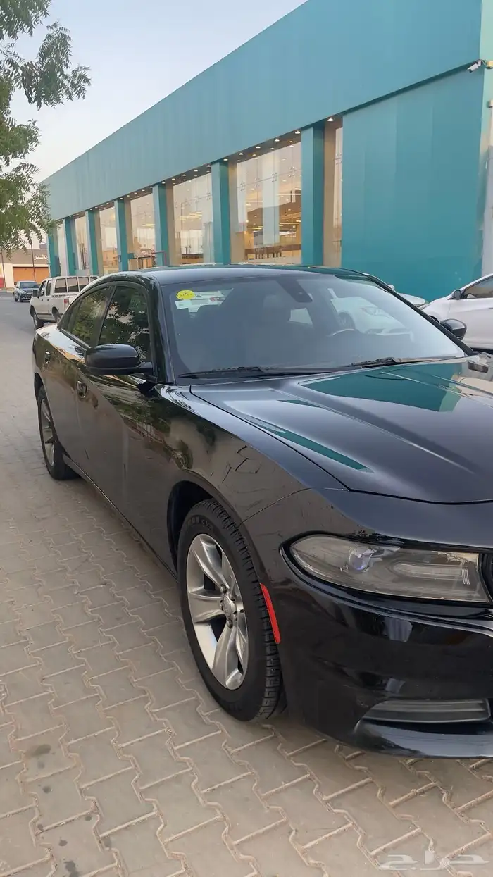 دوج تشارجر2015 نظيف 5