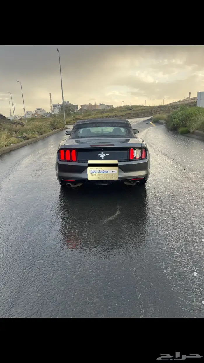 موستنج للبيع او البدل المناسب 3