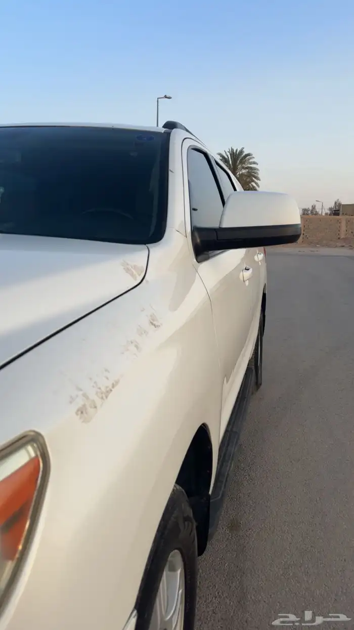 السكويا شرط من كل عذريب الممشى308  لايجي الاصامل 1
