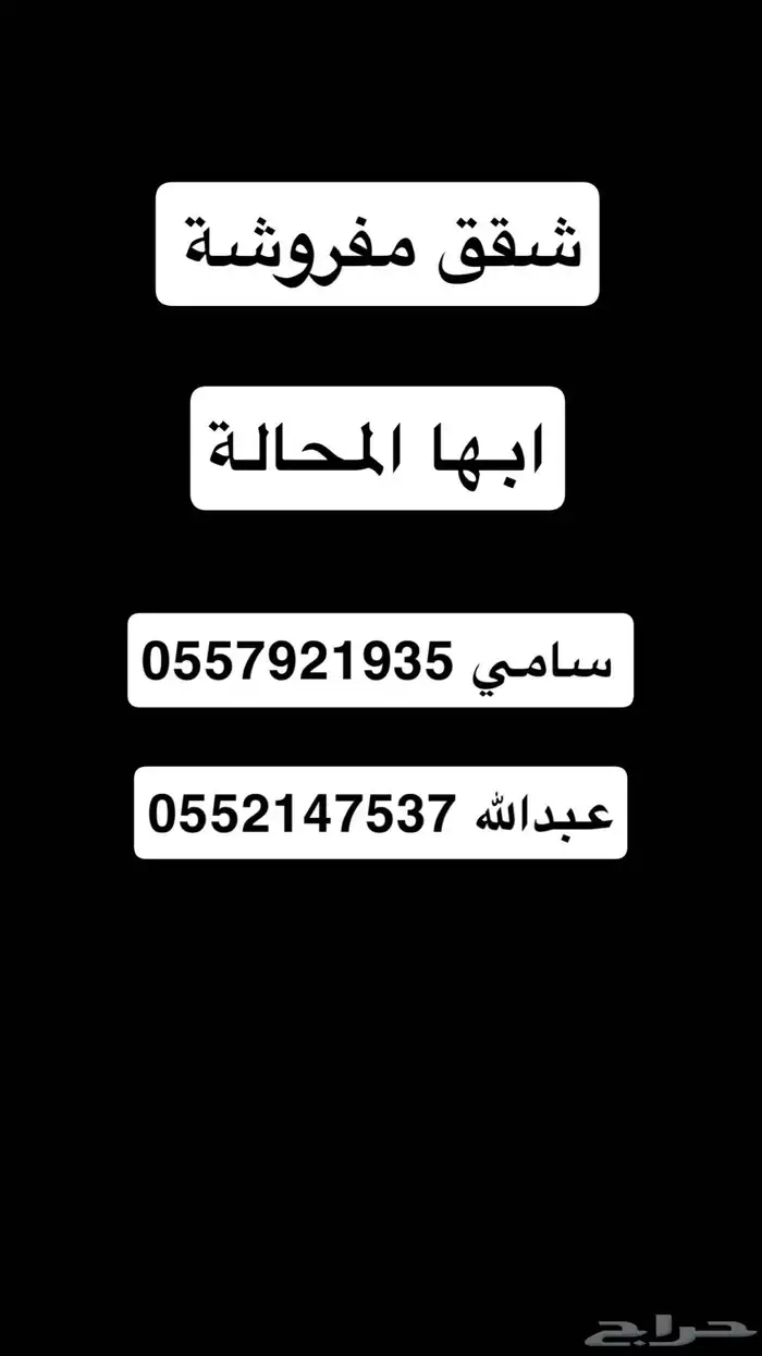 شقه للايجار 10