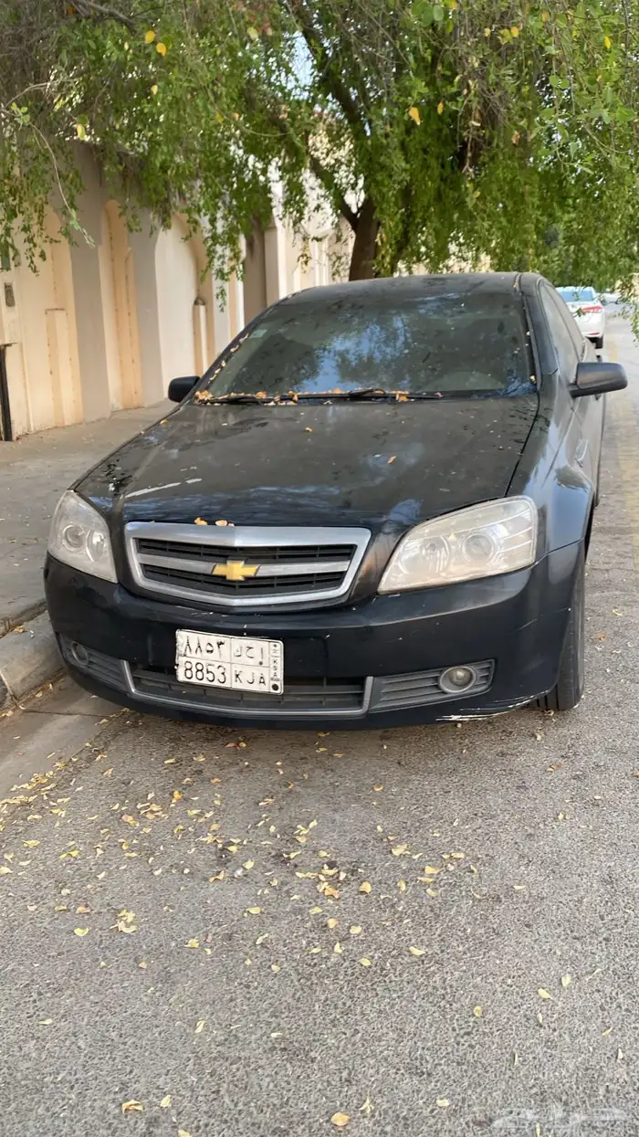 كابرس2008 0