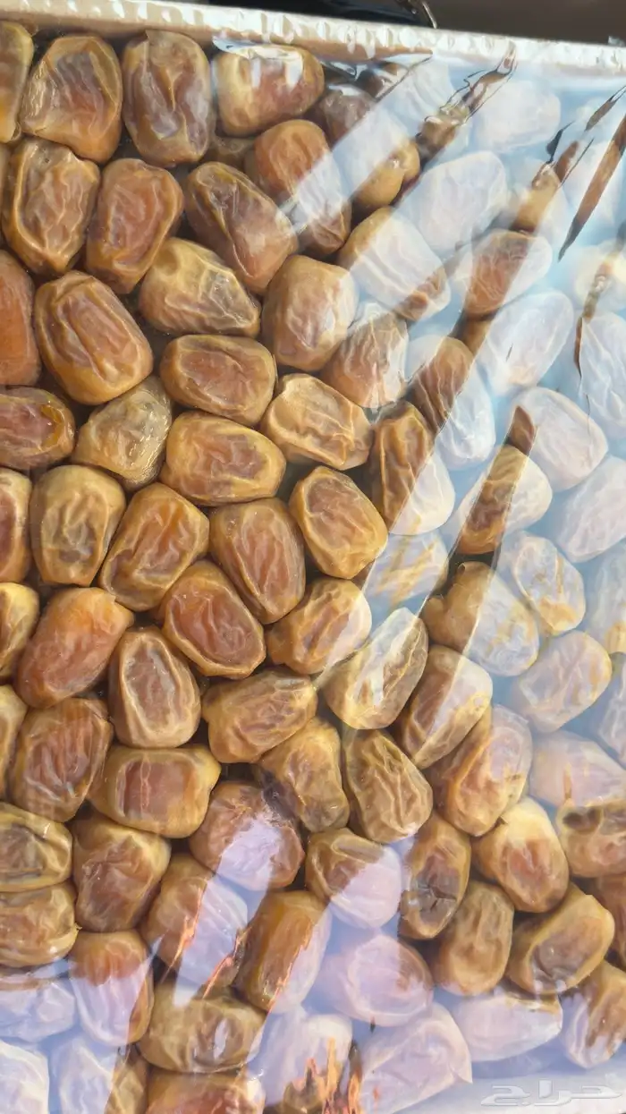 تمر مفتل درجه اولى 1