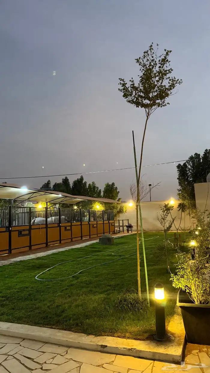 ايواء خيل VIP 1