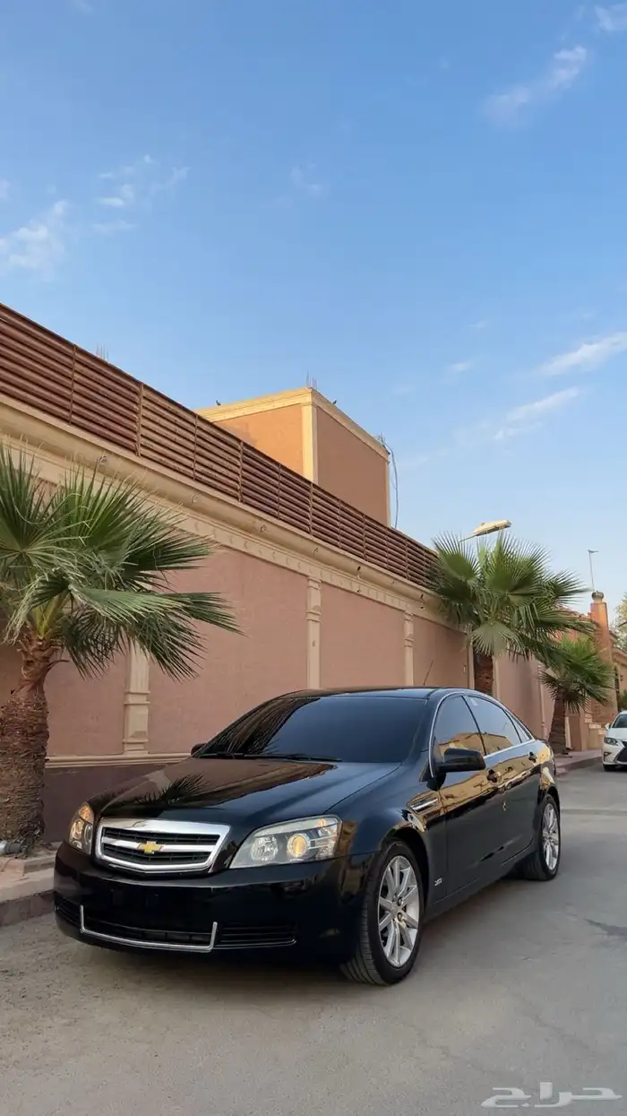 كابرس نضيف 26