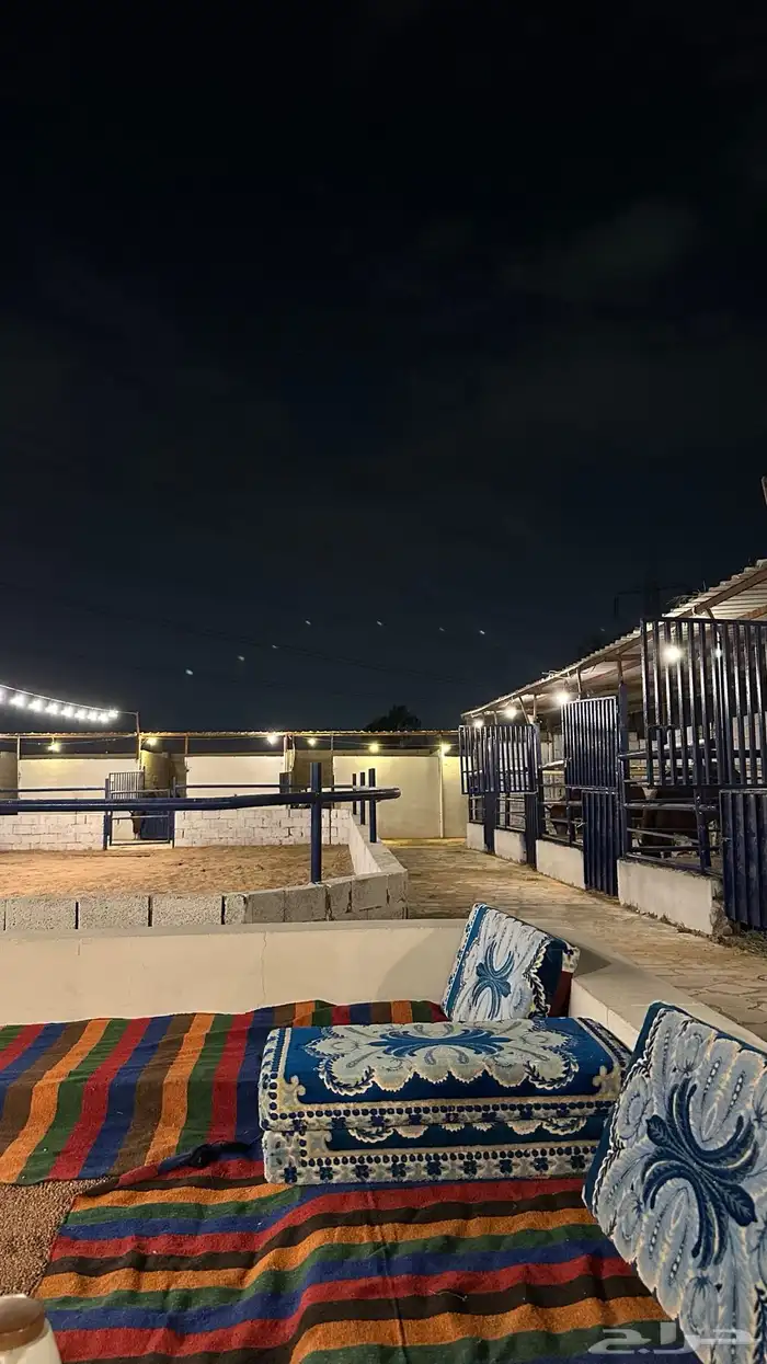 ايواء خيل بقرب ميدان الفروسيه 0