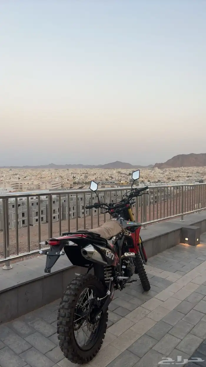 صحراوي الوسام 2