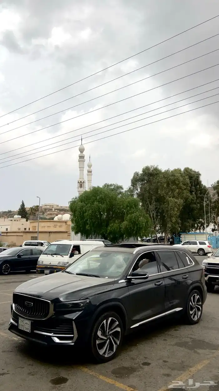 جيلي مونجارو للبيع او التنازل بدون مقابل 0