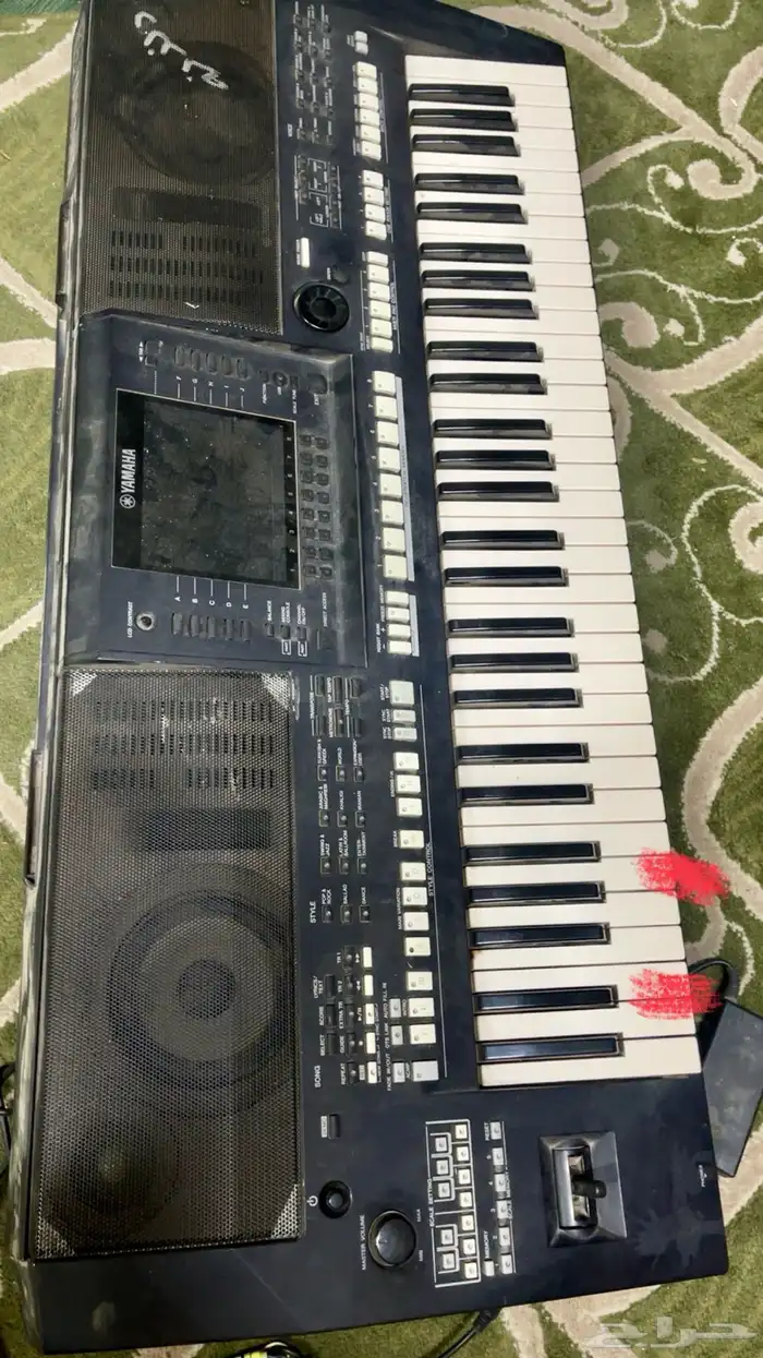 أورق يامها للبيع 0