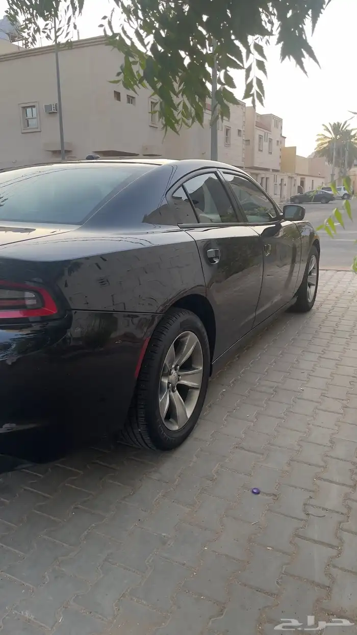 دوج تشارجر2015 نظيف 3