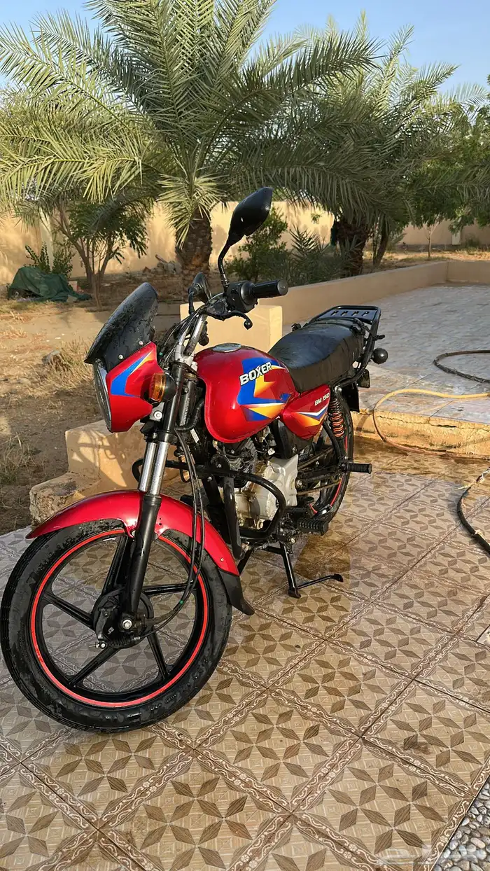 دباب للبيع 4