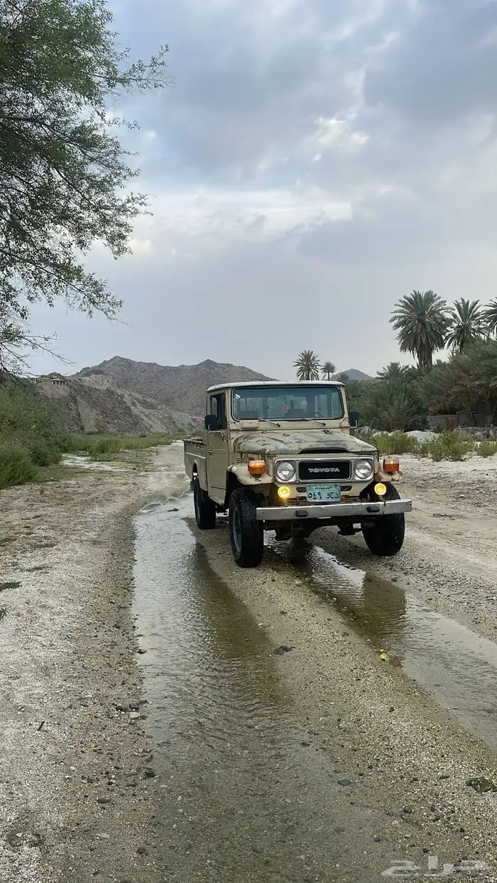 شاص 2