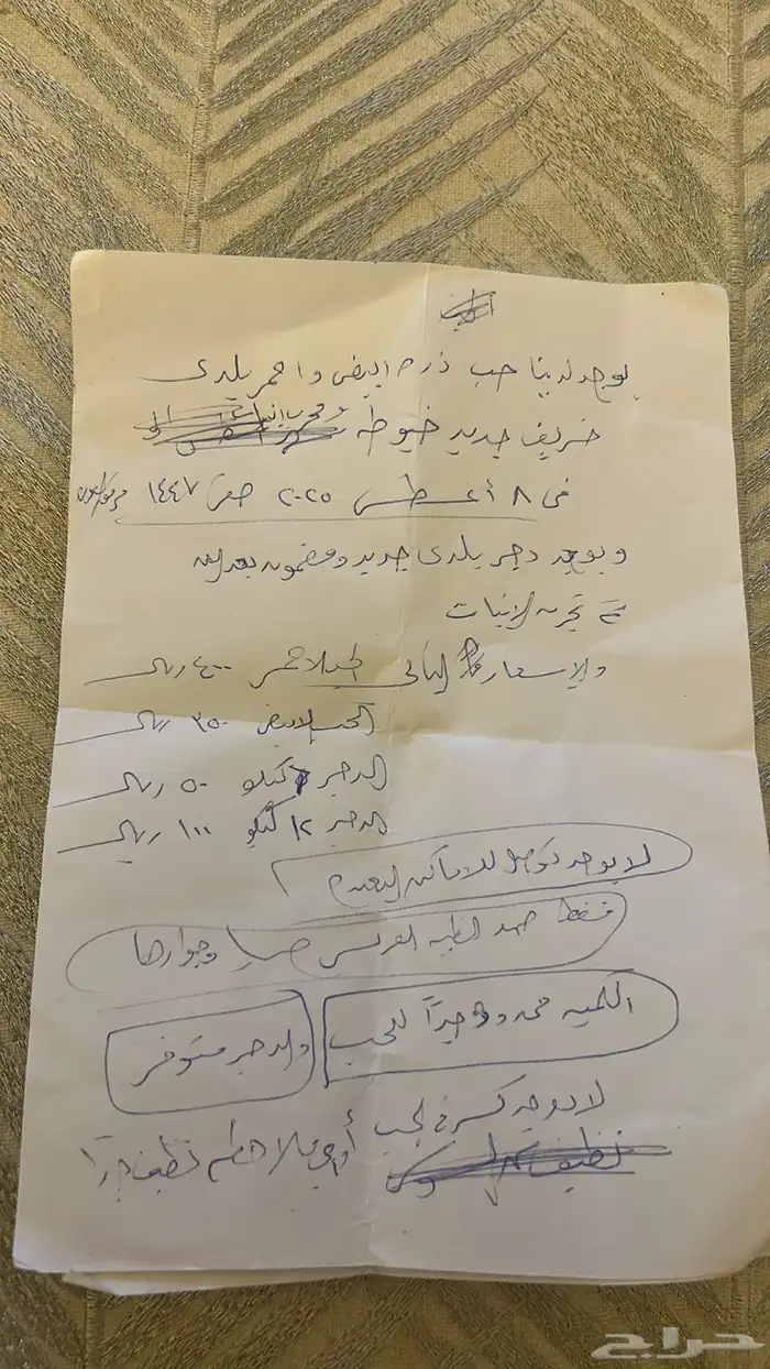 حب ذره احمر وابيض ودجر للبيع 1