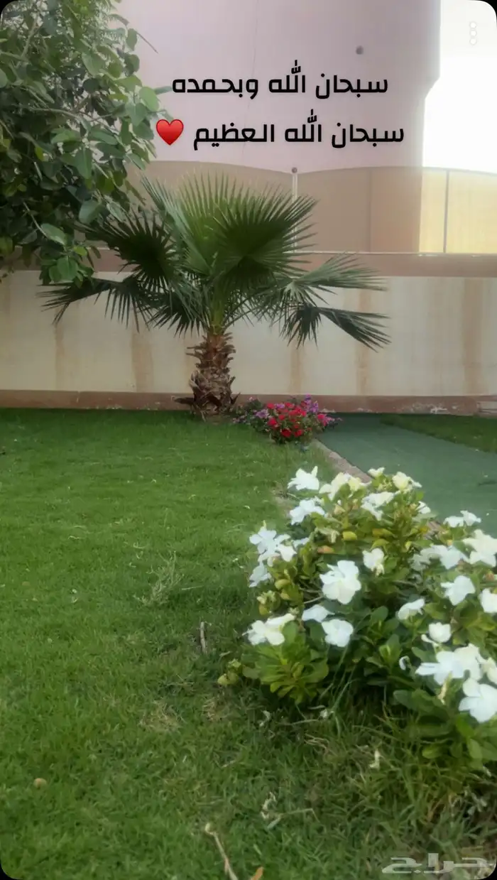 شالية بدون مسبح ( حي ضراس ) 2