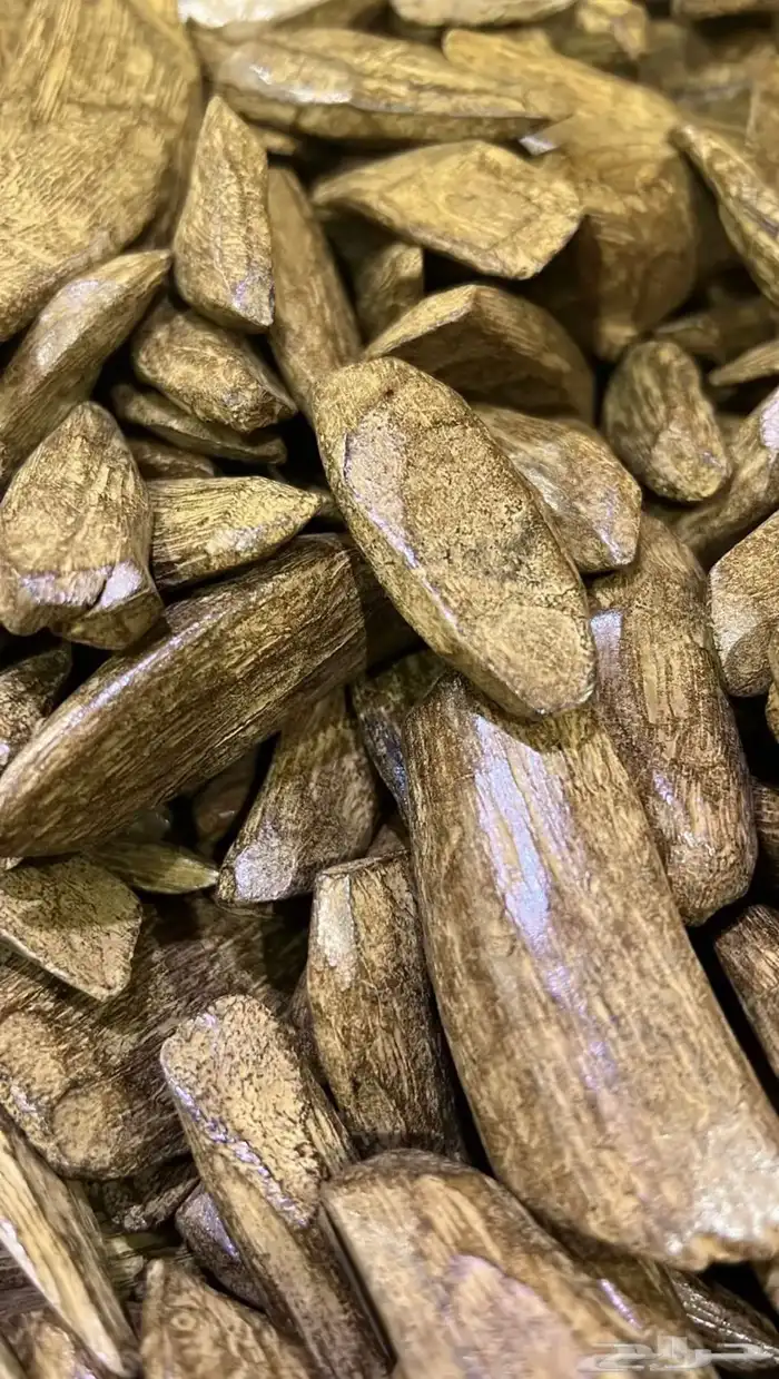 مجموعة من العود الطليعي والمحسن لجميع المناسبات 4