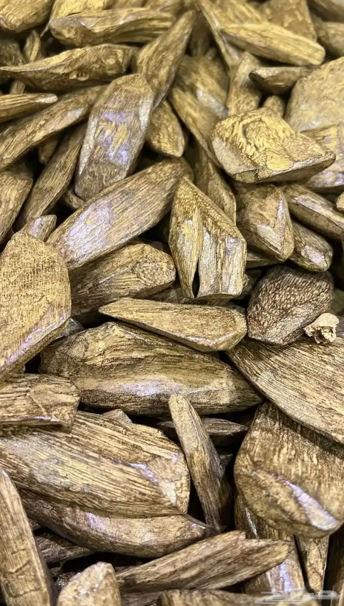 مجموعة من العود الطليعي والمحسن لجميع المناسبات 3