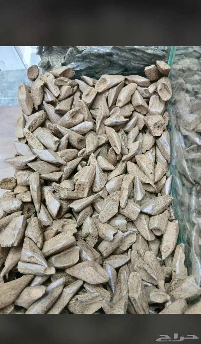 نوفر جميع انواع العطور الحبه بسعر الجمله لاتفوتكم الفرصه 15