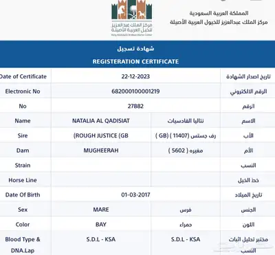 فرس واهو منتجة ودمها قوي index