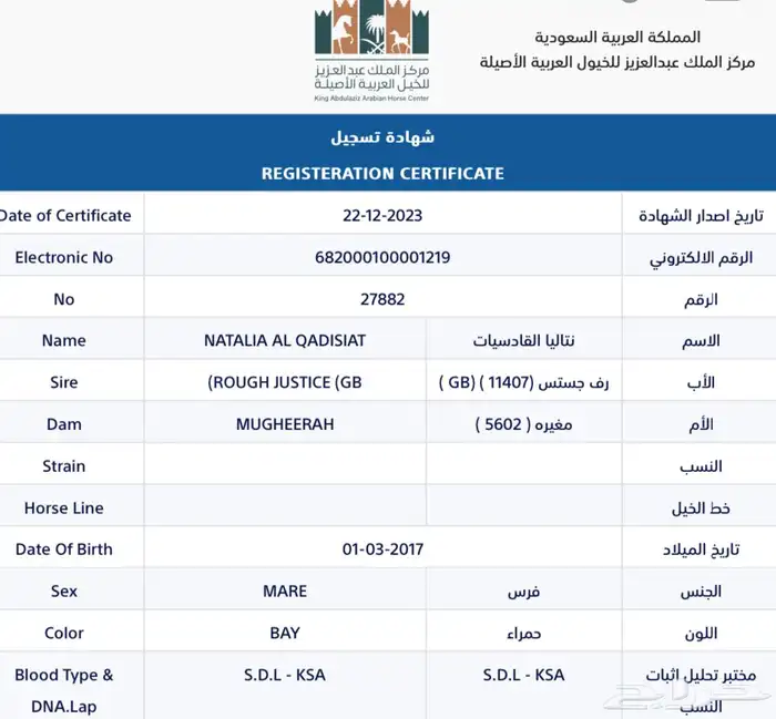 فرس واهو منتجة ودمها قوي 4